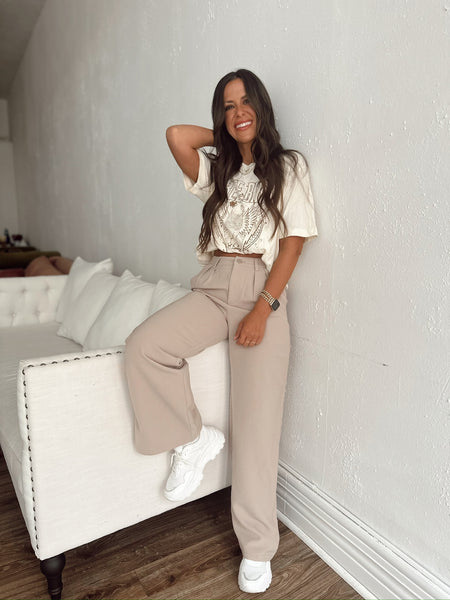 Everly Solid Taupe Trousers